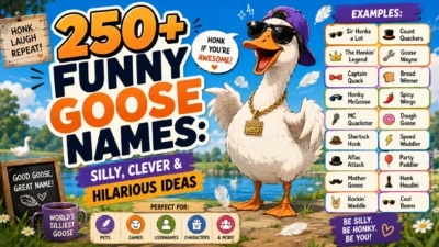 funny goose names with silly, clever ideas and a playful goose wearing sunglasses